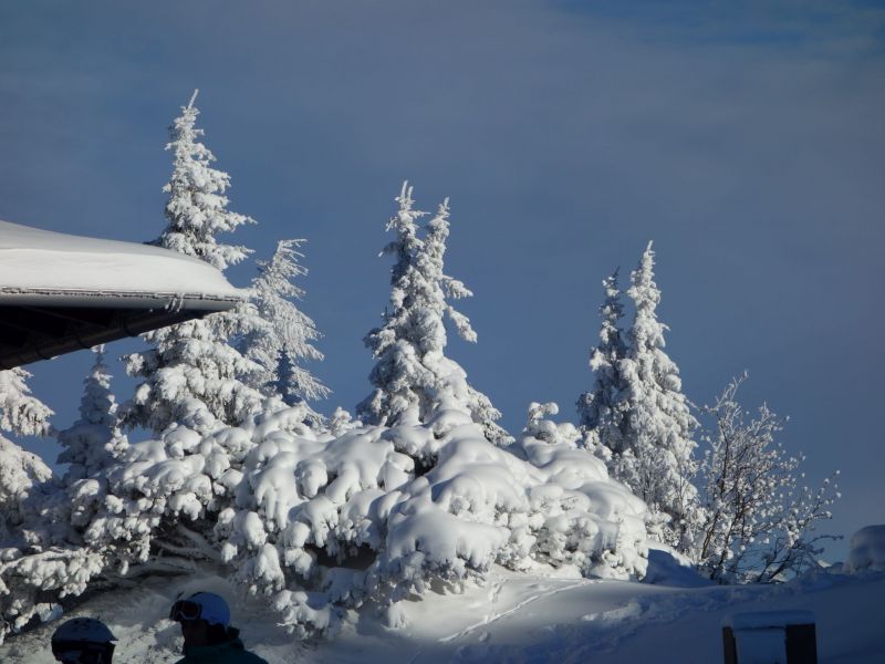 Skifahrt II Wagrain 2017_37