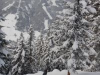 Skifahrt III - Kurswochenende Wildschönau 2017_63